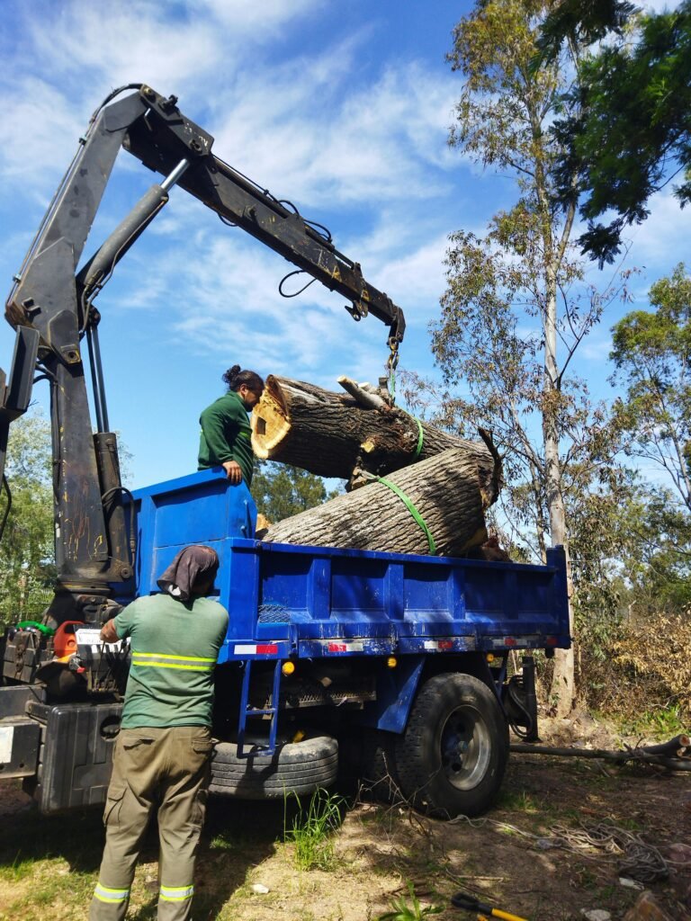 Workers use machinery to load large timber logs onto a blue truck in an outdoor setting.